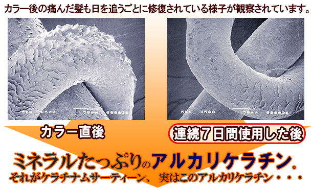 �P���`�i��13-05